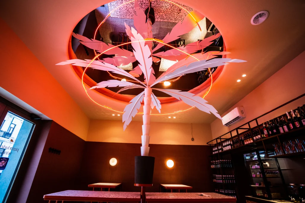 projekty-graficzne-ironwings-bialystok